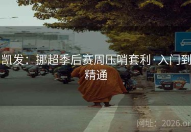 凯发:挪超季后赛周压哨套利·入门到精通 凯发:挪超季后赛周压哨套利·入门到精通