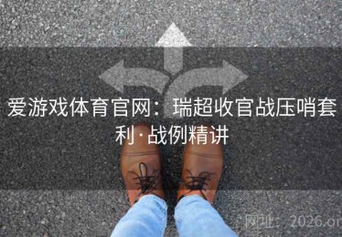 爱游戏体育官网：瑞超收官战压哨套利·战例精讲
