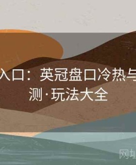 云体育入口：英冠盘口冷热与爆冷监测·玩法大全
