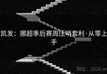 凯发:挪超季后赛周压哨套利·从零上手 凯发:挪超季后赛周压哨套利·从零上手