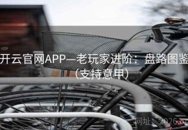 开云官网APP—老玩家进阶:盘路图鉴(支持意甲) 开云官网APP—老玩家进阶:盘路图鉴(支持意甲)