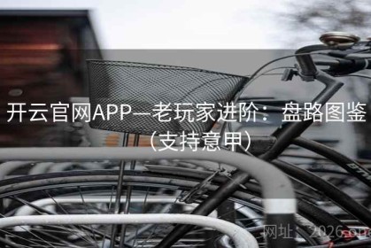 开云官网APP—老玩家进阶：盘路图鉴（支持意甲）
