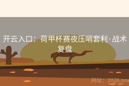 开云入口：荷甲杯赛夜压哨套利·战术复盘