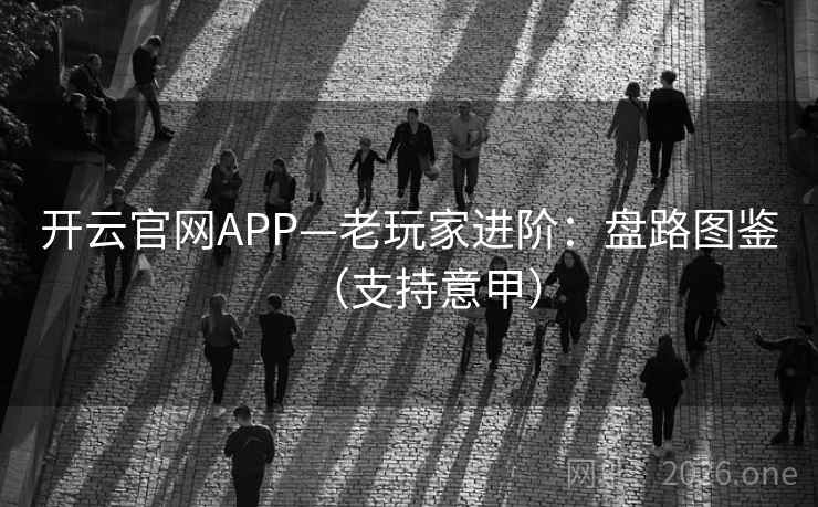 开云官网APP—老玩家进阶:盘路图鉴(支持意甲) 开云官网APP—老玩家进阶:盘路图鉴(支持意甲)