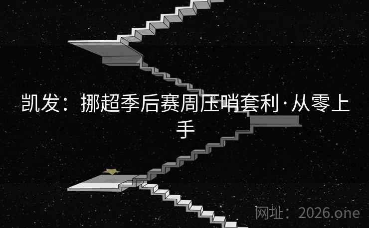 凯发：挪超季后赛周压哨套利·从零上手