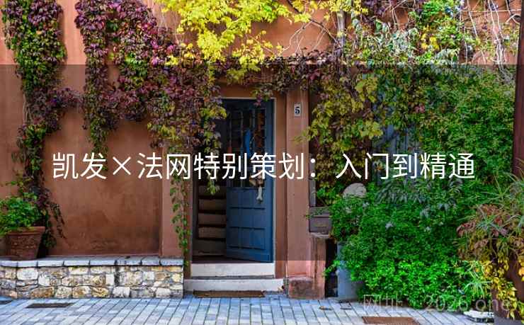 凯发×法网特别策划：入门到精通